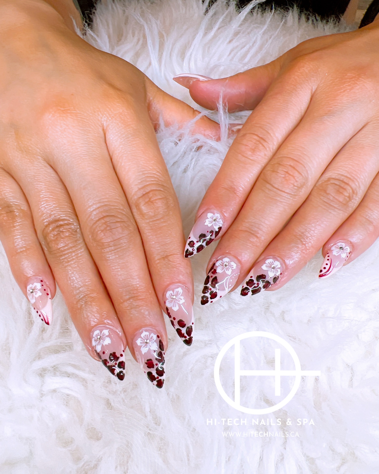 Shellac polish